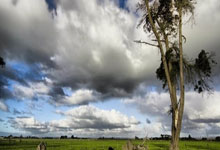 埃及女足选拔赛选拔青少年新人：激发下一代足球热情