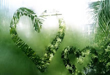 半场休息，双方球迷热情高涨：激动人心的足球盛宴