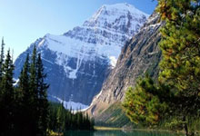 奥地利队惊险逆袭，成功锁定淘汰赛名额